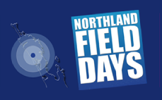 Green fields in Northland, New Zealand